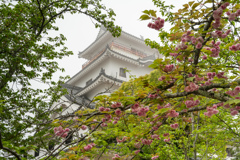 霧の唐津城