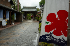 風情