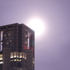 スーパームーン前日、、都庁（A)