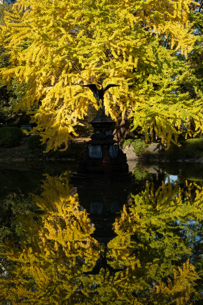 リフレクション