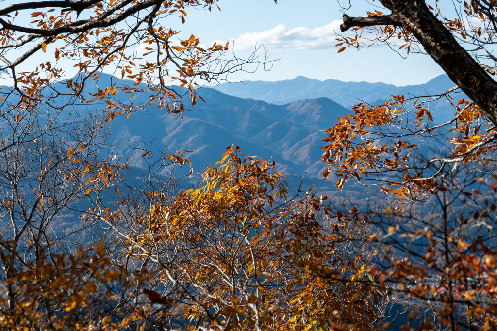 秩父の秋