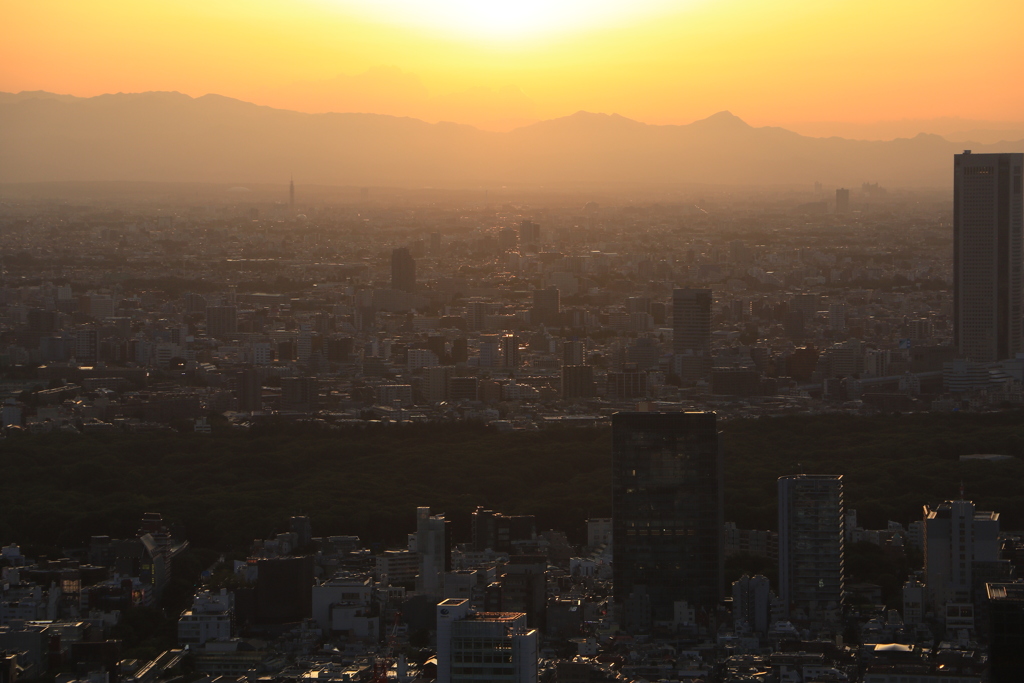 夕暮れ時