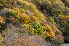 秋色パッチワーク