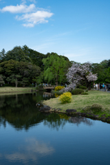 春の長閑な日