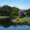 春の長閑な日