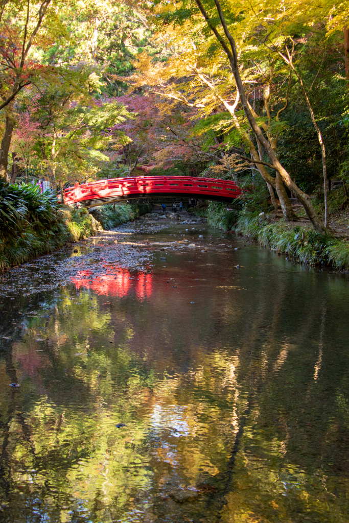 秋橋