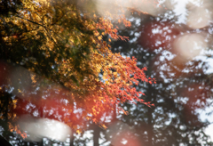季節が生む芸術