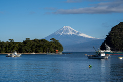 海の守り神