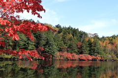 紅葉白駒池