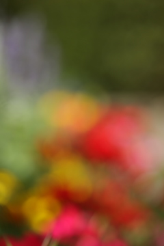 花壇