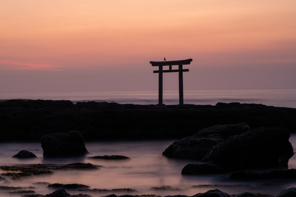 雲上の鳥居