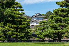 黒松