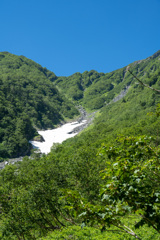 大樺沢雪渓