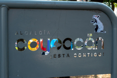 あなたと一緒に