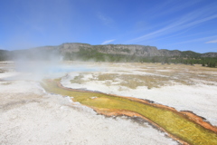 黄色い川