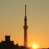 1月2日の日の出