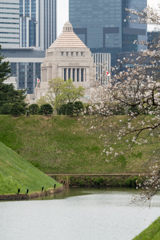 春の議事堂
