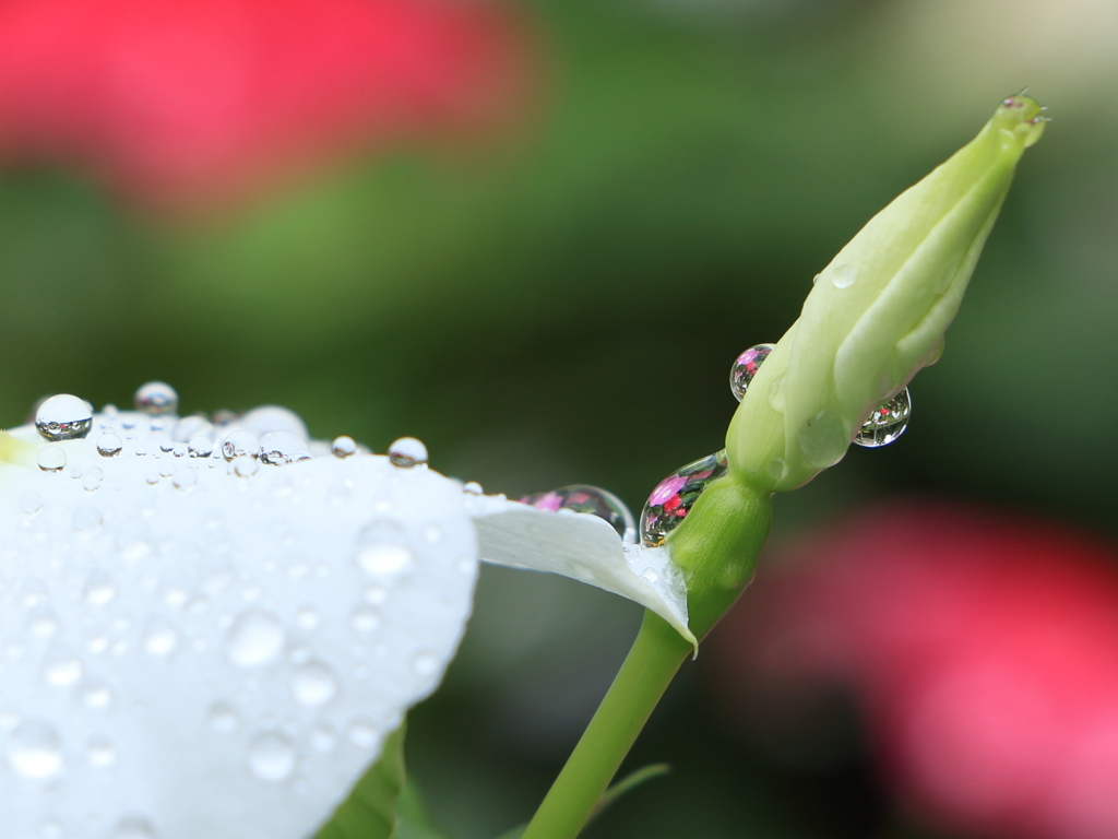 水の世界