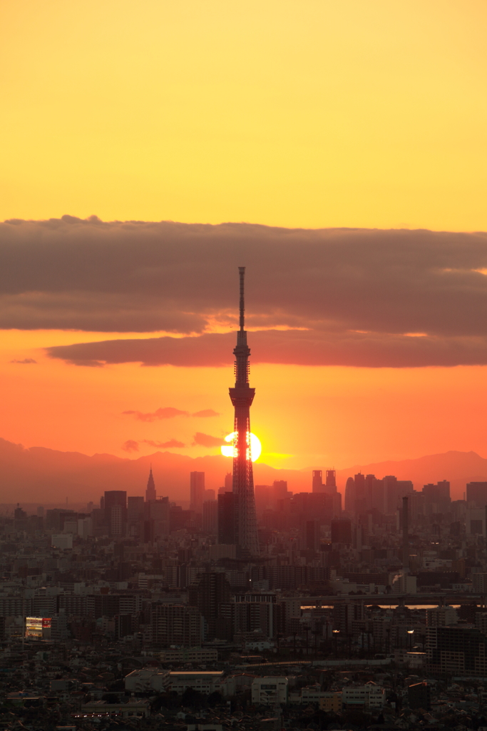 日蝕　スカイツリー