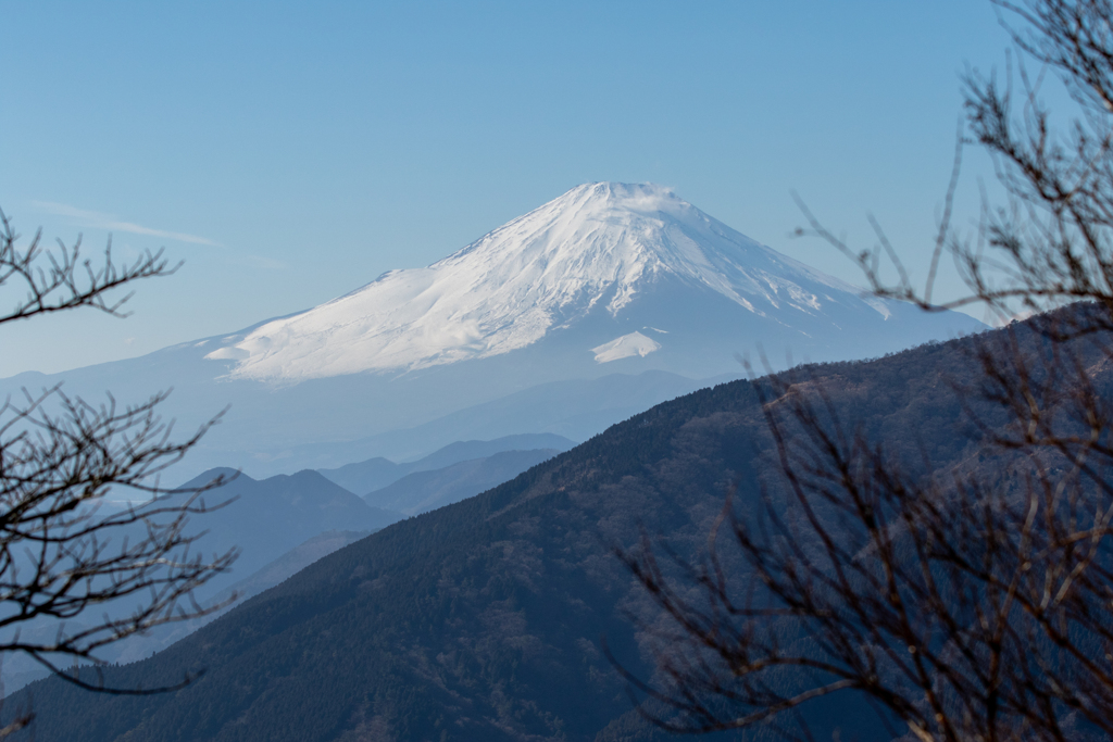 大山富士見台