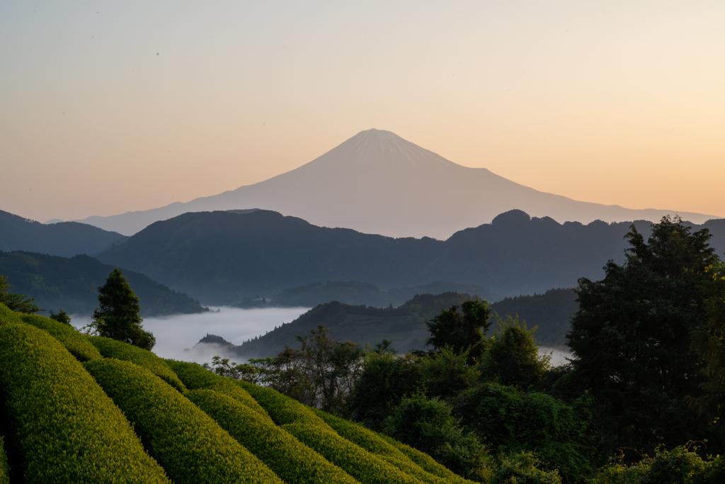 茜富士