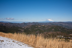 積雪により順延