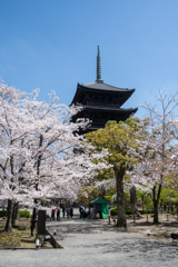 木造建造物高さ日本一