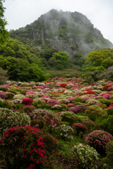 御船山楽園