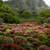 御船山楽園