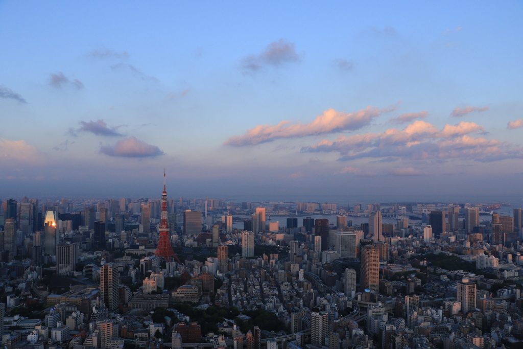 ２年前の思い出「東京夕景」