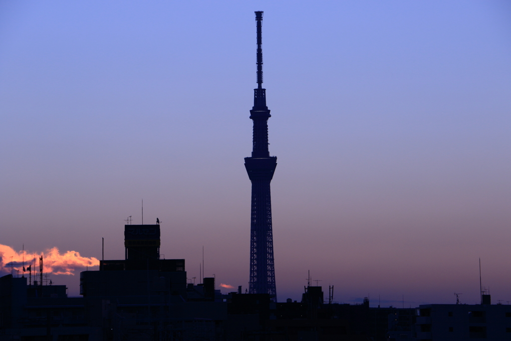 夜明け前～青の世界