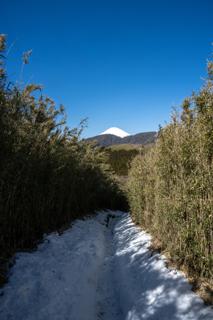 雪道