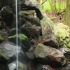 一条の水