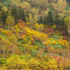山の彩