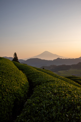 富士朝景