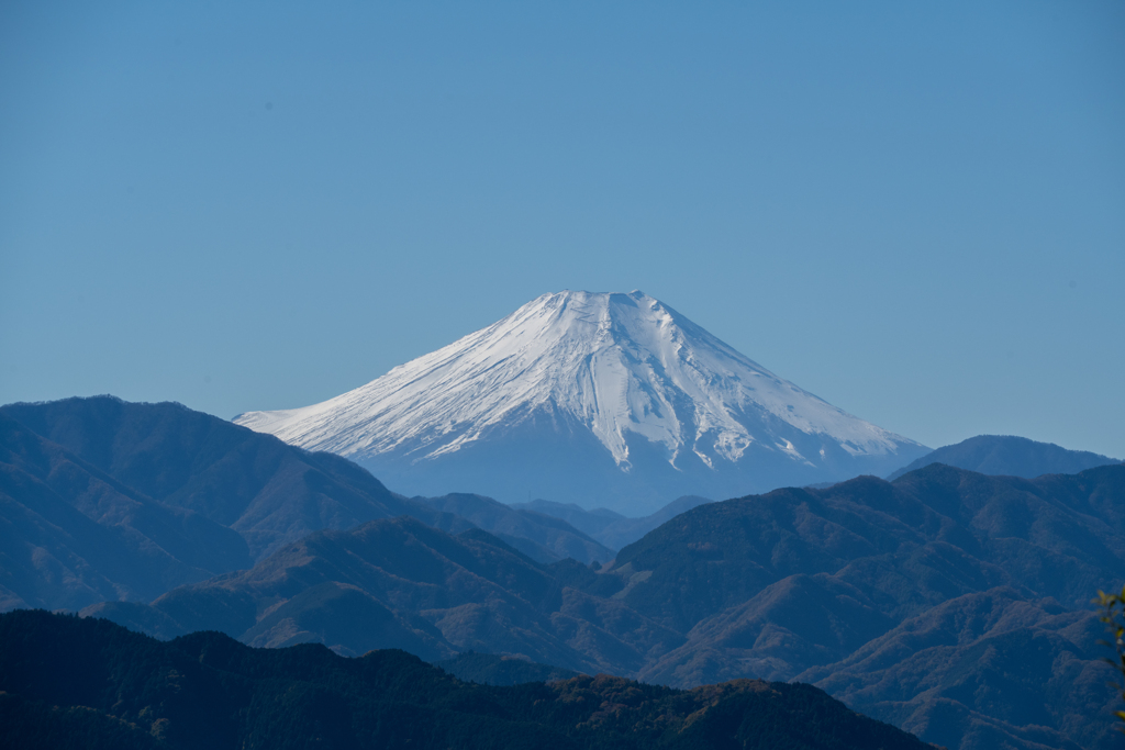 秋晴れ