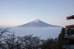 朝日を浴びて