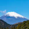 冠雪