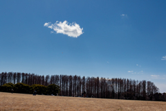 丘の上の雲