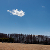 丘の上の雲