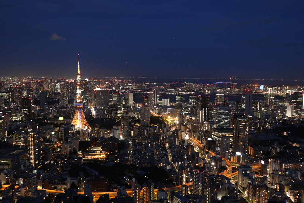 東京夜景