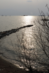 霞ヶ浦のある浜の風景
