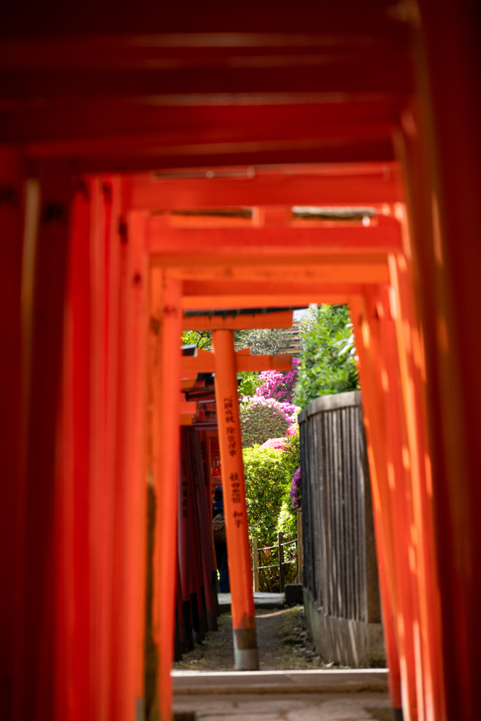 千本鳥居