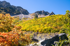 涸沢の黄葉