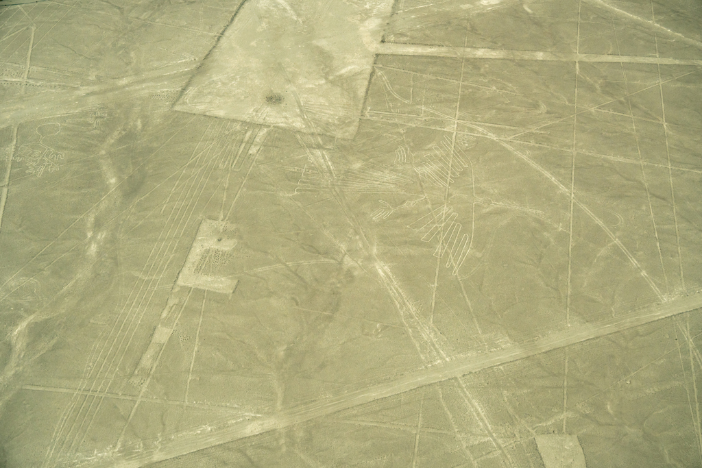 コンドル（ナスカ地上絵）