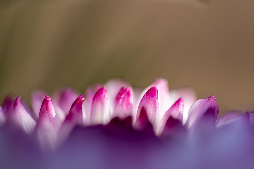 グラデーション