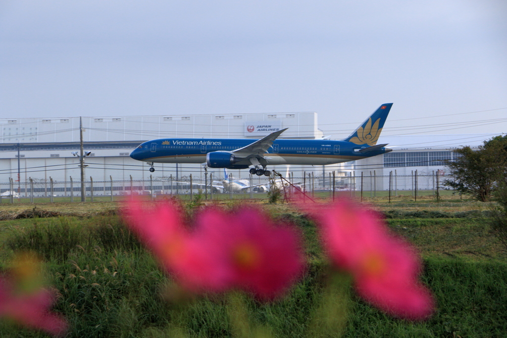 ベトナム航空
