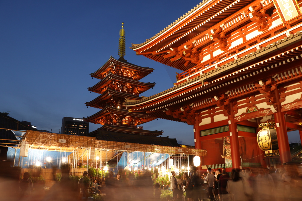 浅草寺ほおずき市