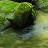 苔石水