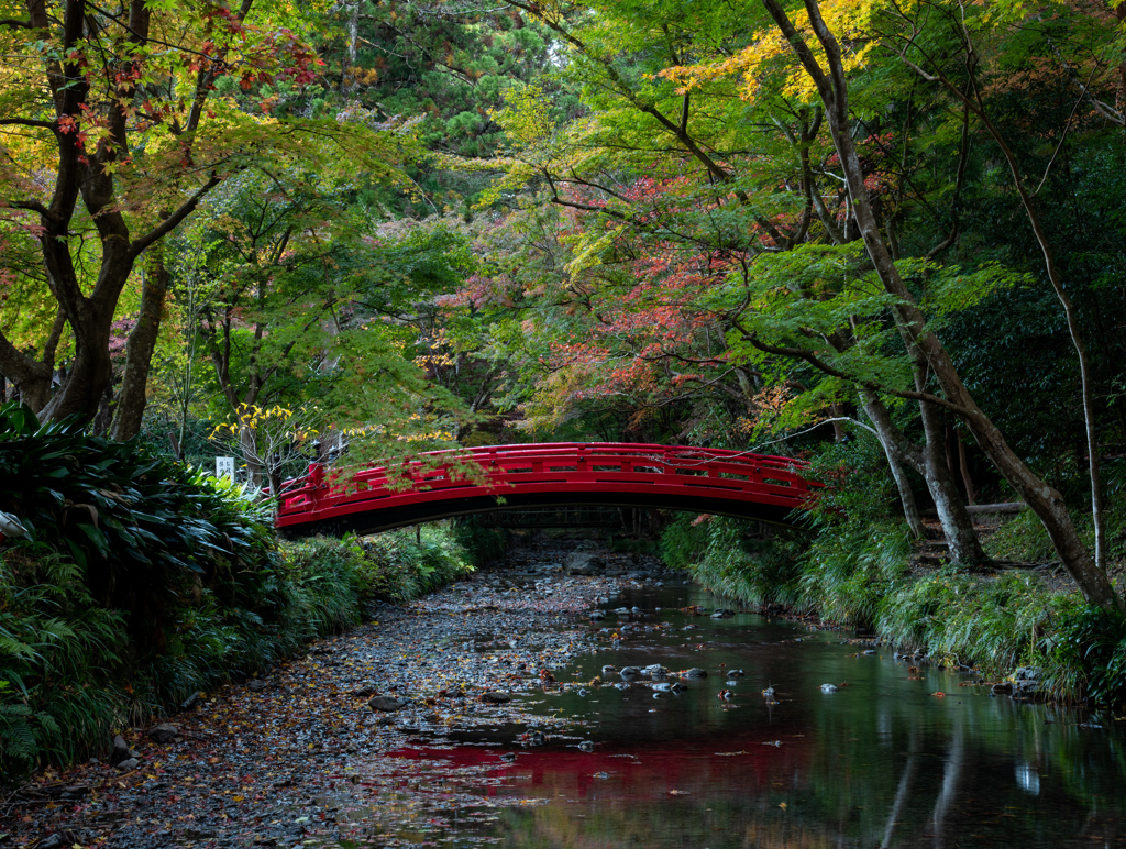 一宮川